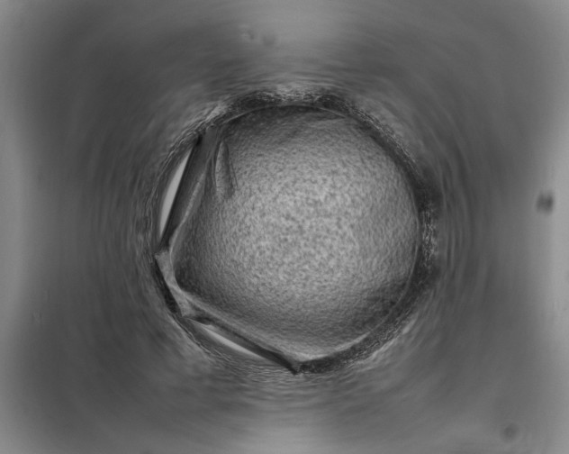 X0000098160593200805011433
