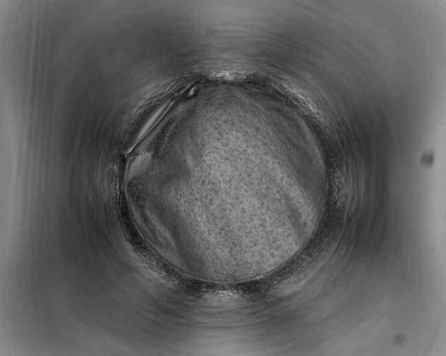 X0000098160594200805011432