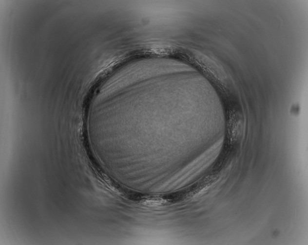 X0000098160595200805011432