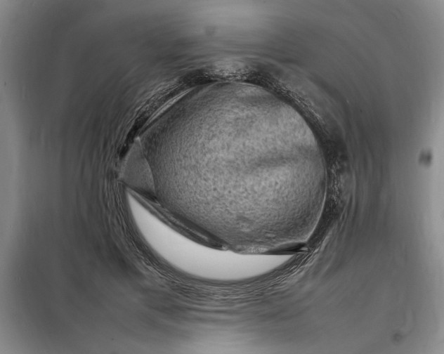 X0000098160597200805011432