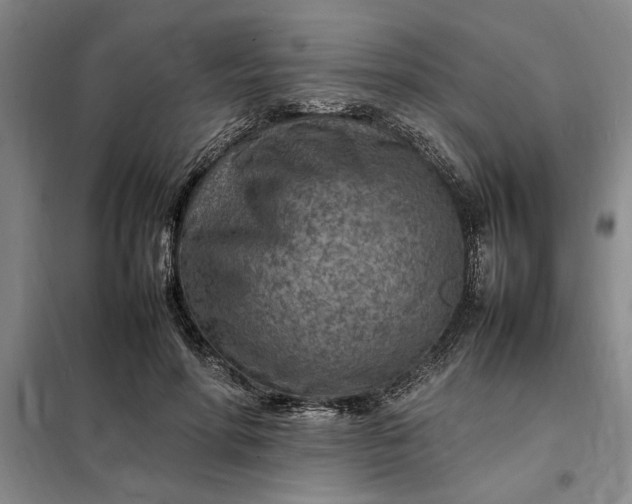 X0000098160598200805011432