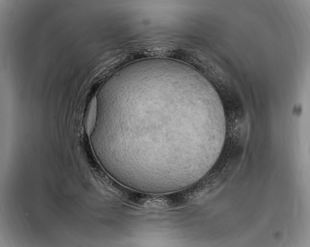 X0000098160599200805011432