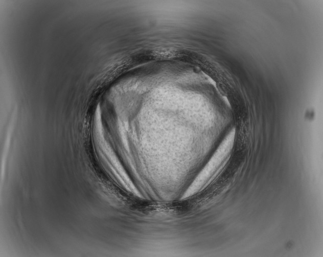 X0000098160601200805011432