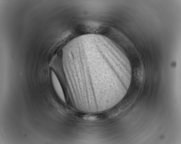 X0000098160602200805011432