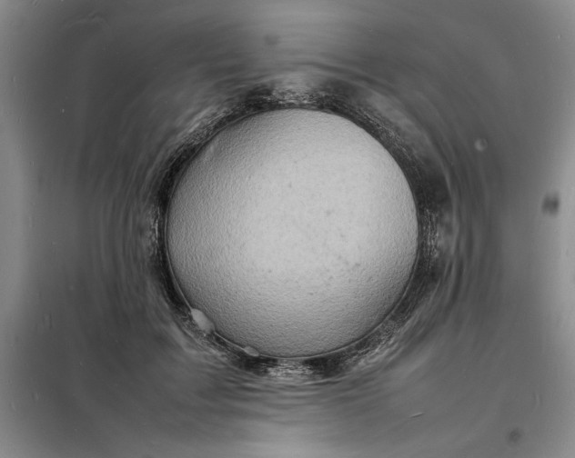 X0000098160603200805011432