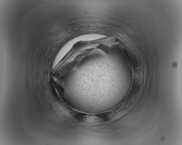 X0000098160605200805011432