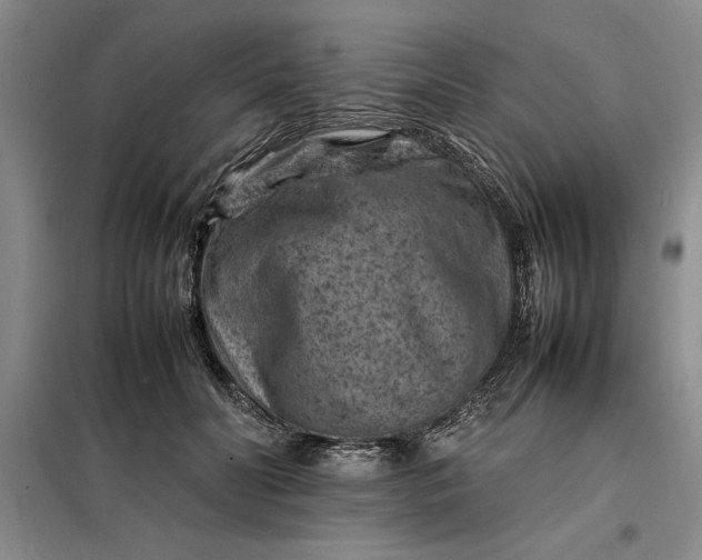 X0000098160606200805011432