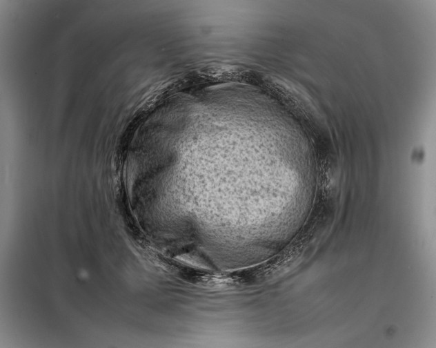 X0000098160607200805011432