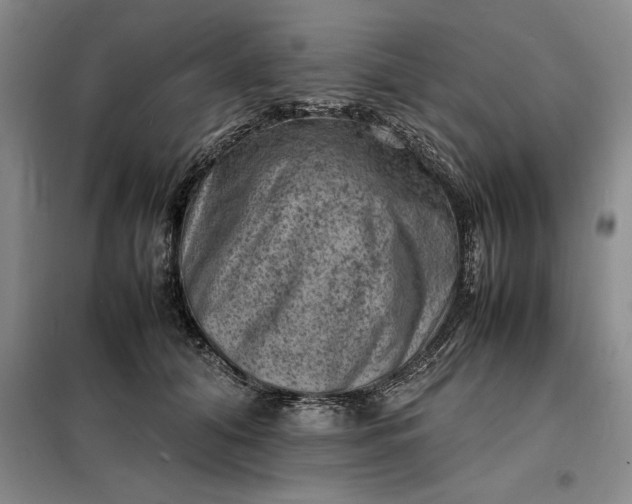 X0000098160608200805011432