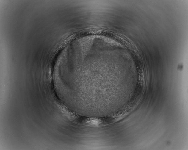 X0000098160610200805011432