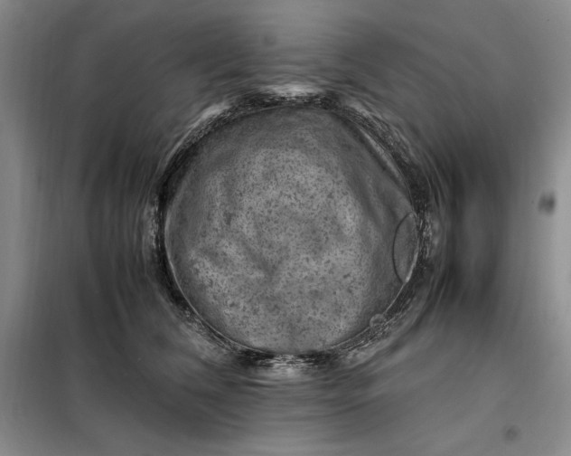 X0000098160612200805011432