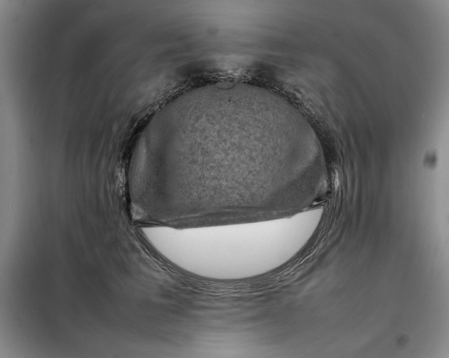 X0000098160613200805011432