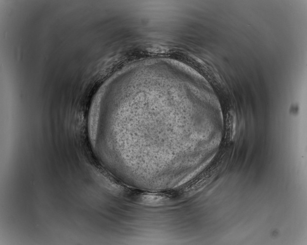 X0000098160614200805011432