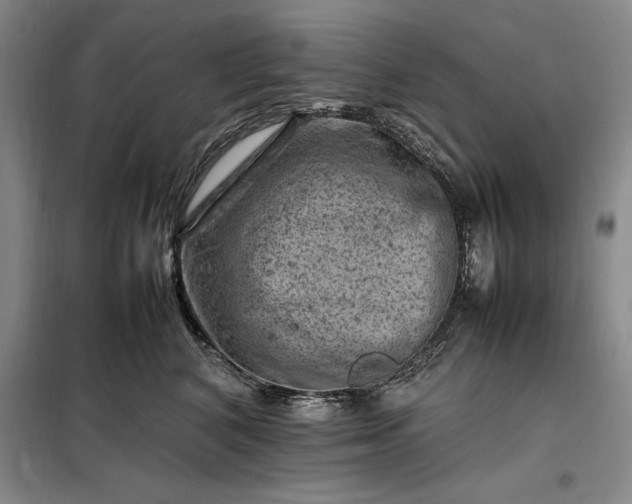 X0000098160616200805011432