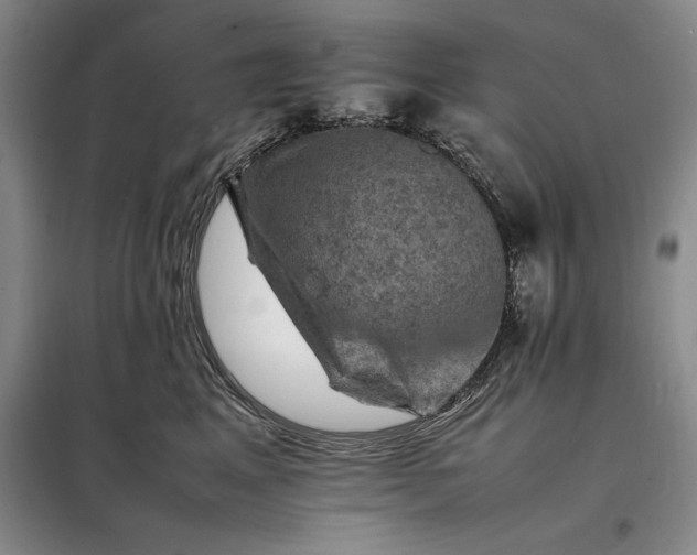 X0000098160617200805011432