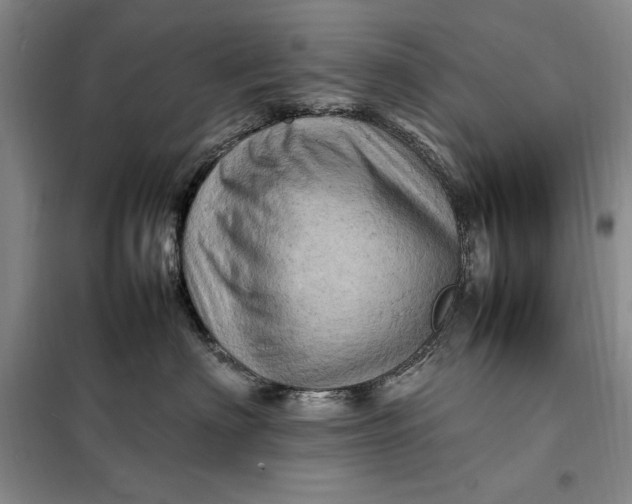 X0000098160622200805011432