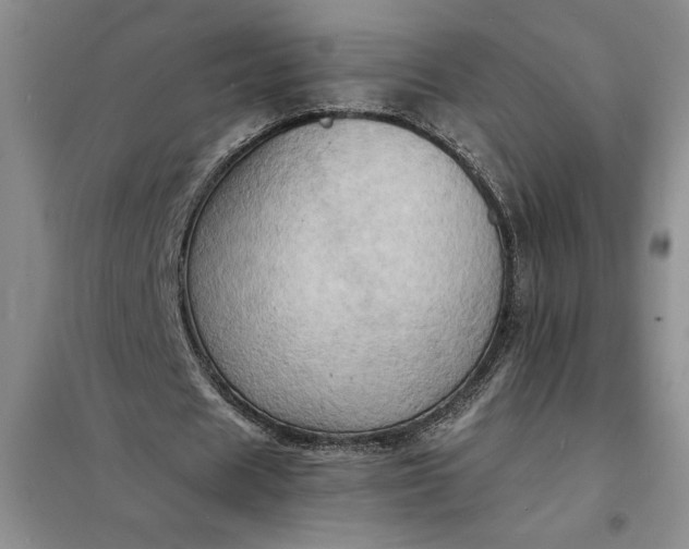 X0000098160625200805011431
