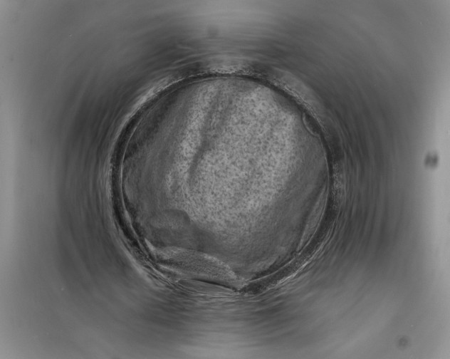 X0000098160626200805011431