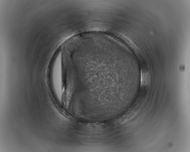 X0000098160627200805011431