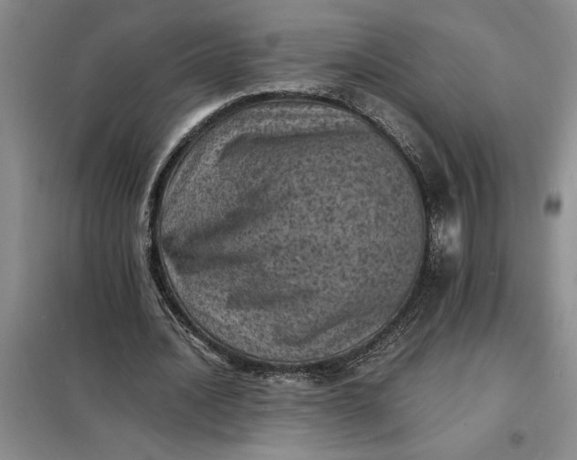 X0000098160628200805011431