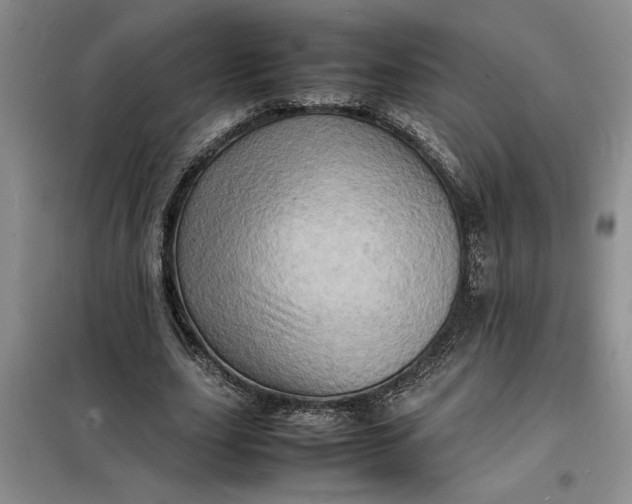 X0000098160631200805011431