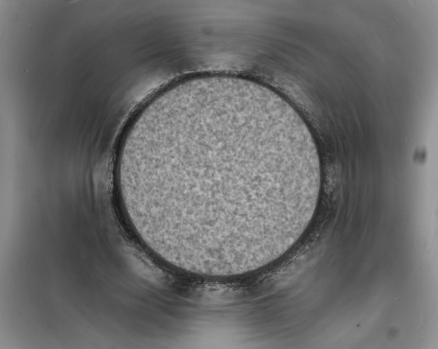 X0000098160632200805011431