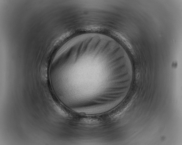 X0000098160633200805011431