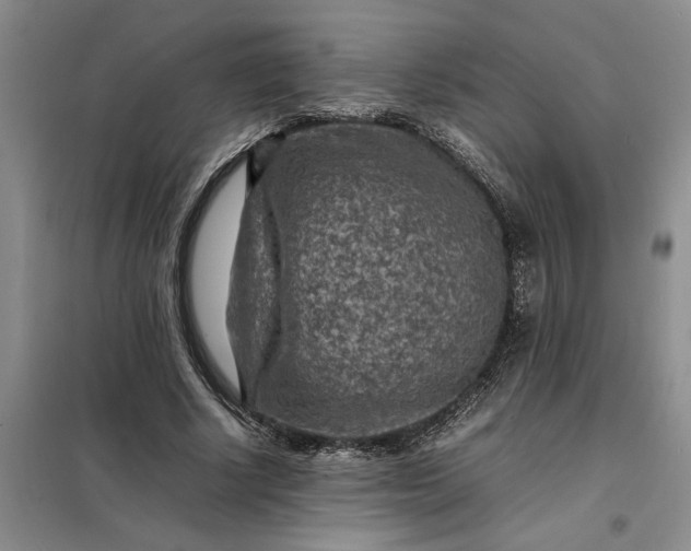 X0000098160634200805011431