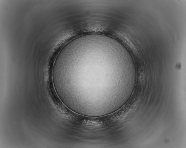 X0000098160635200805011431