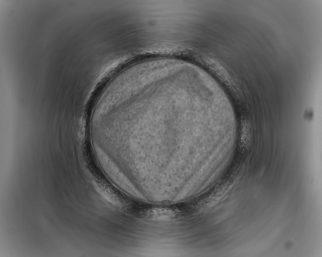 X0000098160636200805011431