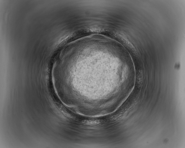 X0000098160639200805011431