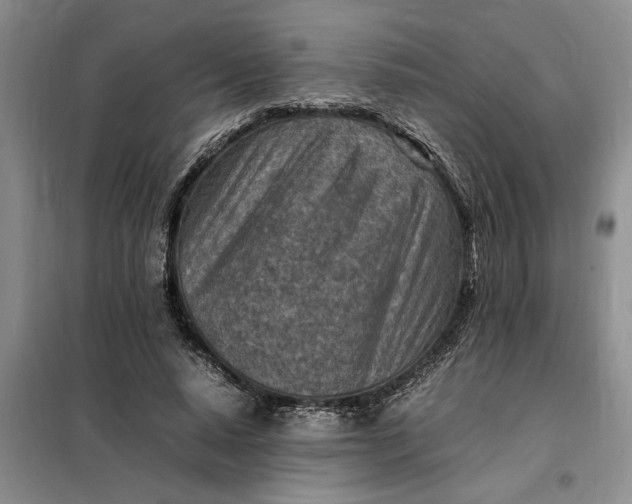 X0000098160640200805011431