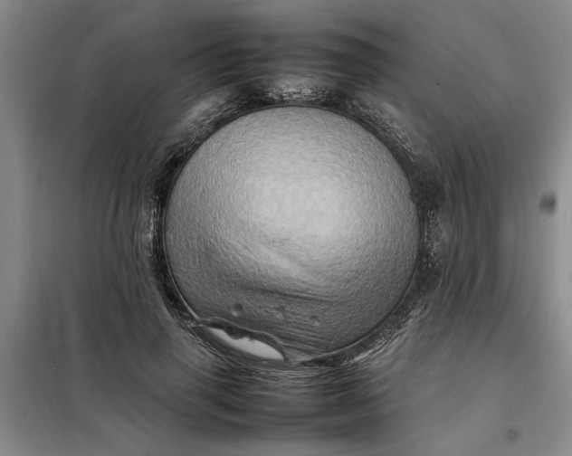 X0000098160645200805011432