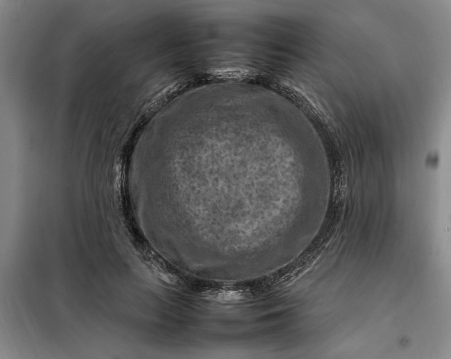 X0000098160647200805011432