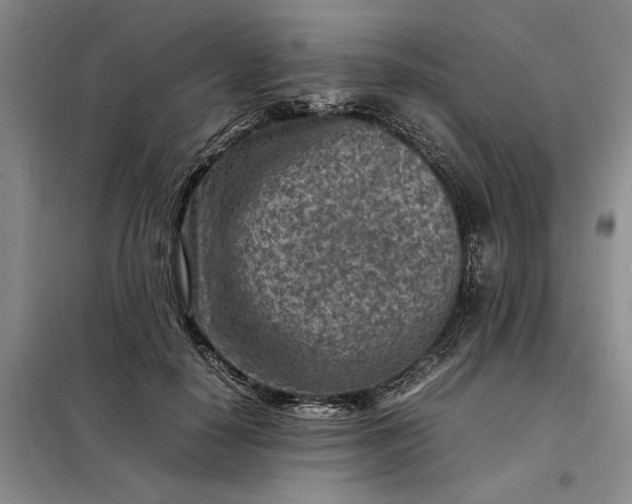 X0000098160650200805011432