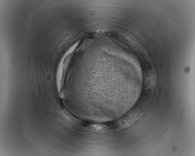 X0000098160654200805011432