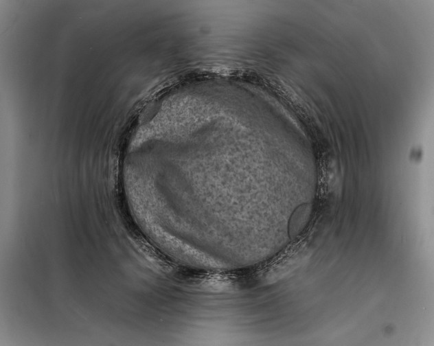 X0000098160656200805011432