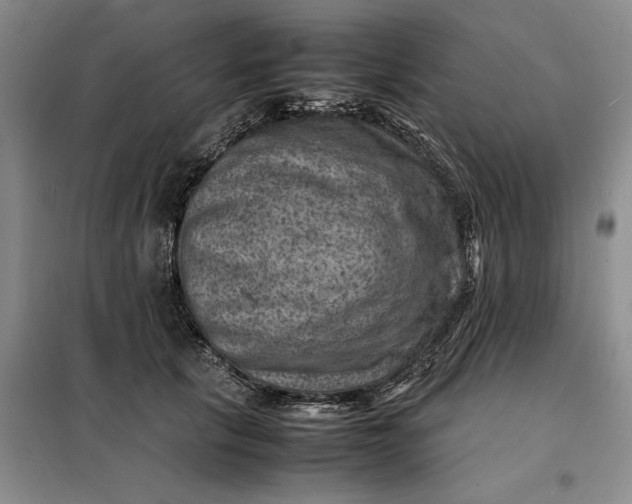 X0000098160657200805011432
