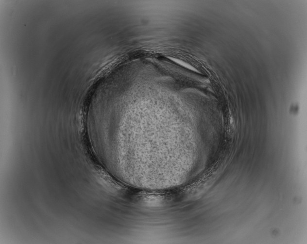 X0000098160658200805011432