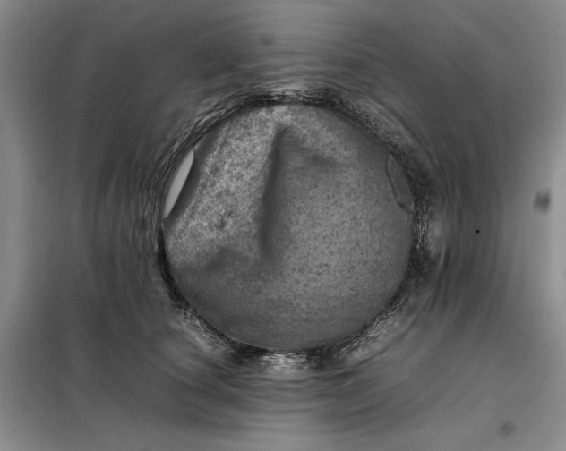 X0000098160660200805011432