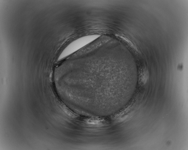 X0000098160661200805011432
