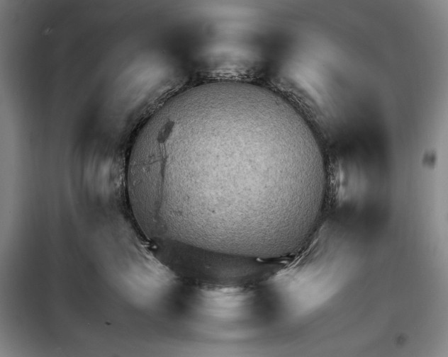 X0000098160665200805011432