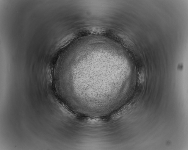 X0000098160666200805011432