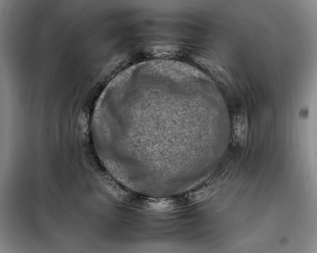 X0000098160667200805011432