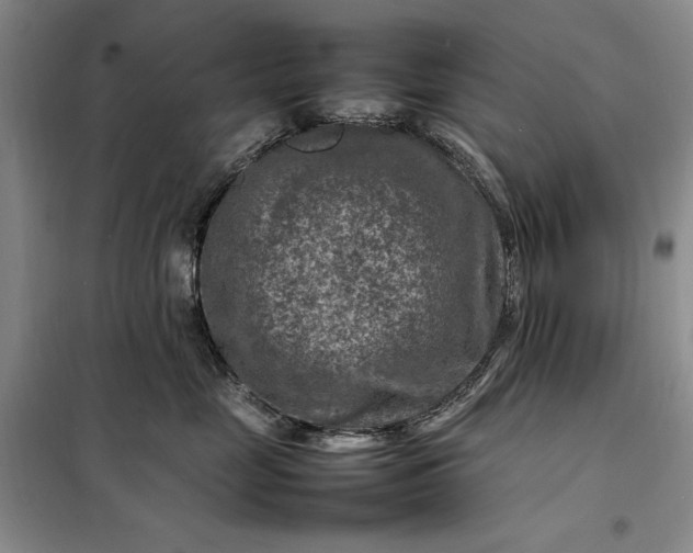 X0000098160669200805011432