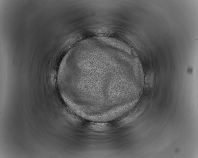 X0000098160671200805011432