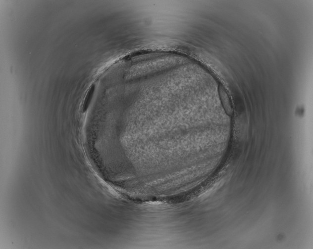X0000098160673200805011431