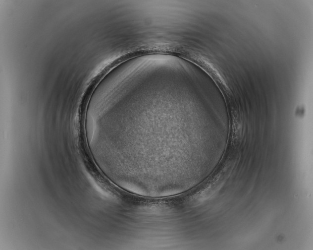 X0000098160674200805011431