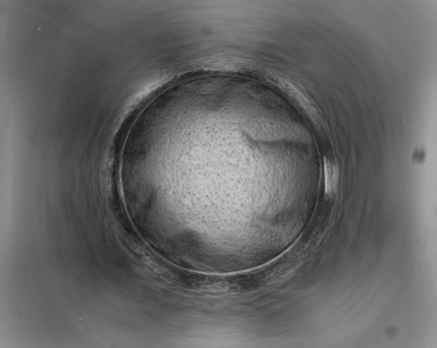 X0000098160675200805011431