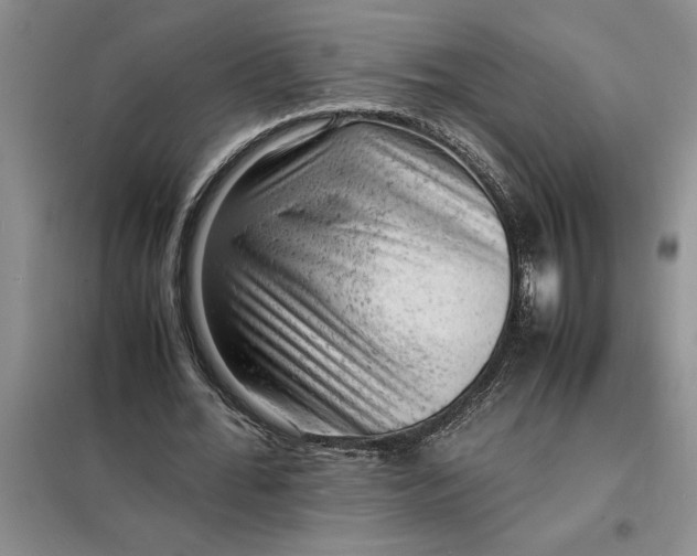 X0000098160676200805011431